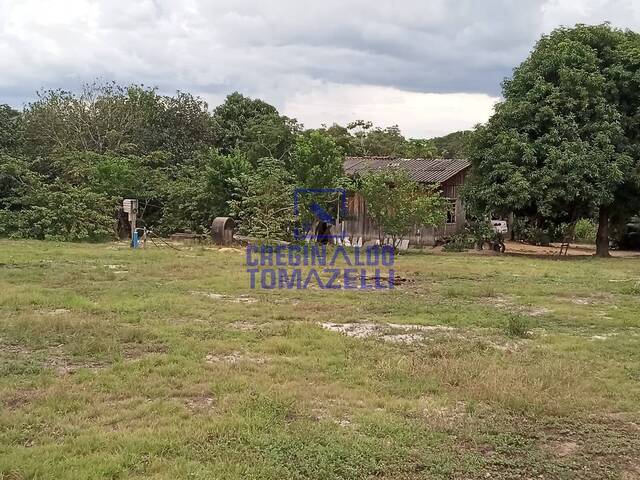 Venda em CHÁCARA - Nova Mutum