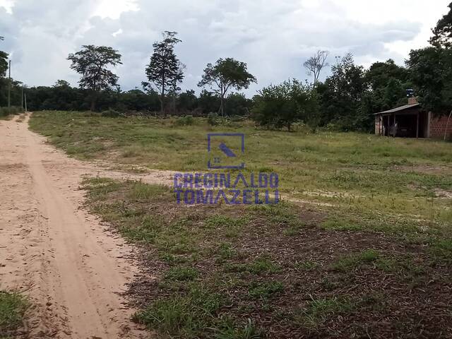 #11 - Chácara para Venda em Nova Mutum - MT - 3