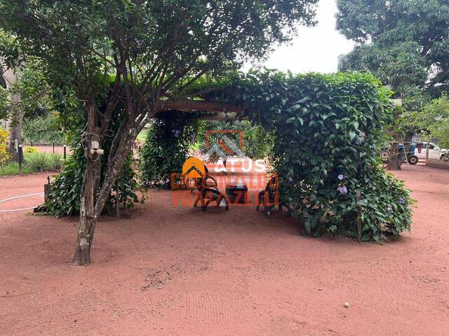 #40 - Sítio para Venda em Nova Mutum - MT - 3