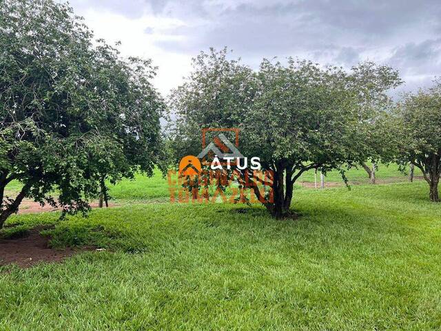 #40 - Sítio para Venda em Nova Mutum - MT - 2